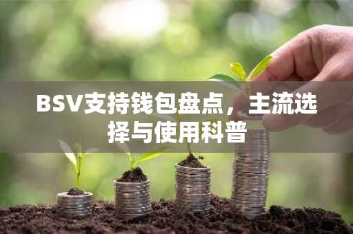 BSV支持钱包盘点，主流选择与使用科普