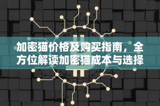 加密猫价格及购买指南，全方位解读加密猫成本与选择要素