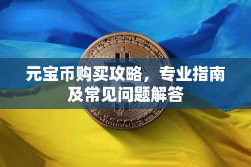 元宝币购买攻略，专业指南及常见问题解答