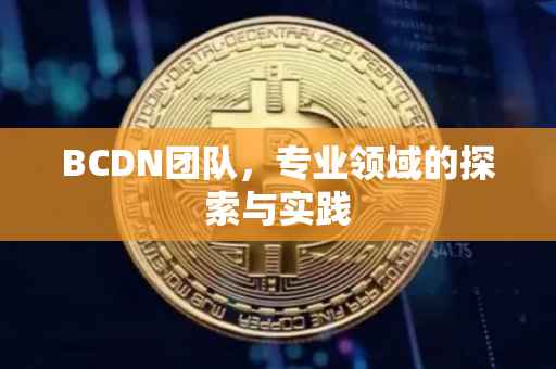 BCDN团队，专业领域的探索与实践