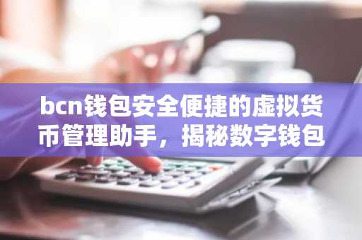bcn钱包安全便捷的虚拟货币管理助手，揭秘数字钱包奥秘
