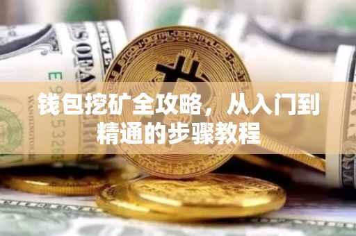 钱包挖矿全攻略，从入门到精通的步骤教程