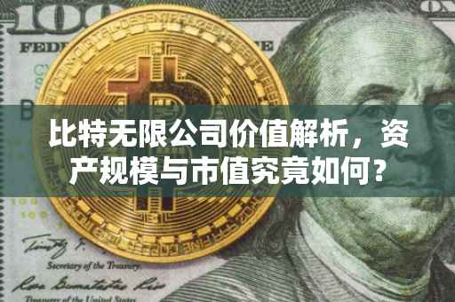 比特无限公司价值解析，资产规模与市值究竟如何？