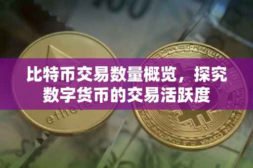 比特币交易数量概览，探究数字货币的交易活跃度