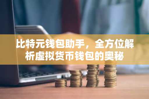 比特元钱包助手，全方位解析虚拟货币钱包的奥秘