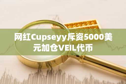 网红Cupseyy斥资5000美元加仓VEIL代币