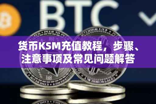 货币KSM充值教程，步骤、注意事项及常见问题解答