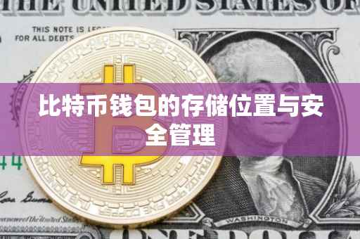 比特币钱包的存储位置与安全管理