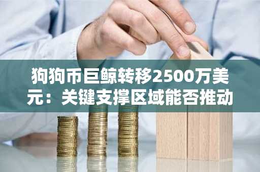 狗狗币巨鲸转移2500万美元：关键支撑区域能否推动新一轮上涨？