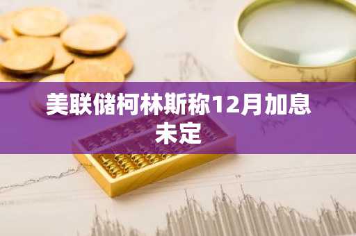 美联储柯林斯称12月加息未定
