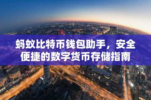 蚂蚁比特币钱包助手，安全便捷的数字货币存储指南
