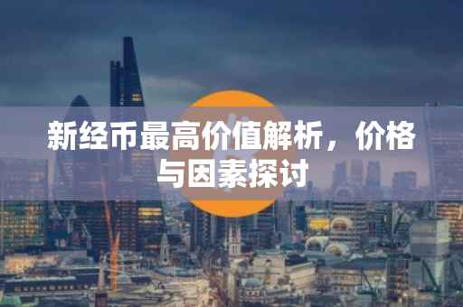 新经币最高价值解析，价格与因素探讨