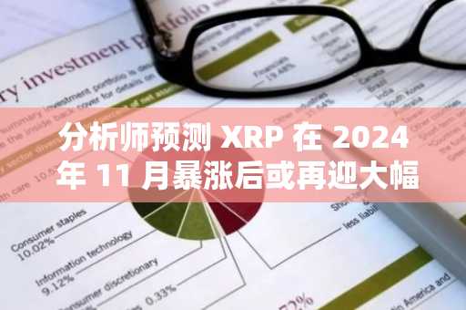 分析师预测 XRP 在 2024 年 11 月暴涨后或再迎大幅上涨