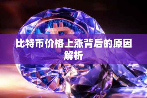 比特币价格上涨背后的原因解析