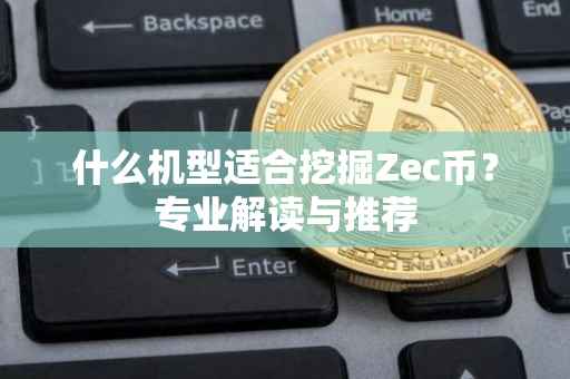 什么机型适合挖掘Zec币？专业解读与推荐