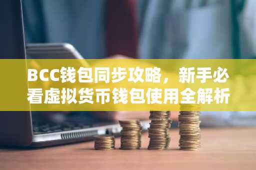 BCC钱包同步攻略，新手必看虚拟货币钱包使用全解析
