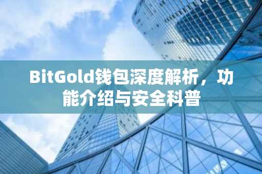 BitGold钱包深度解析，功能介绍与安全科普