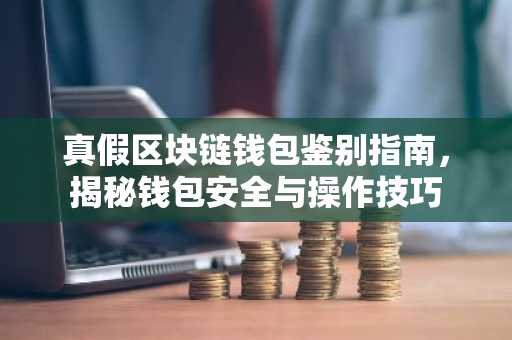真假区块链钱包鉴别指南，揭秘钱包安全与操作技巧