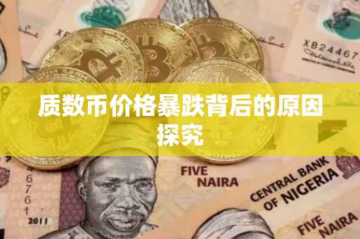 质数币价格暴跌背后的原因探究