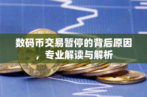 数码币交易暂停的背后原因，专业解读与解析