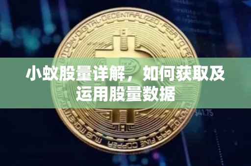 小蚁股量详解，如何获取及运用股量数据