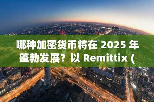 哪种加密货币将在 2025 年蓬勃发展？以 Remittix (RTX) 等实用型预售为例