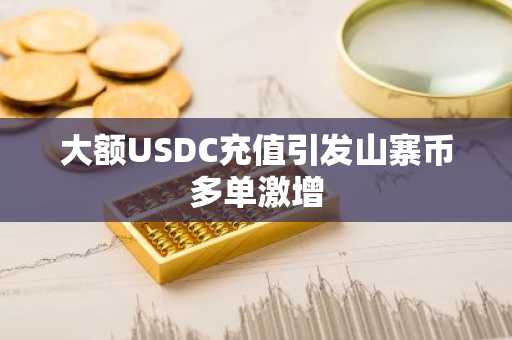 大额USDC充值引发山寨币多单激增