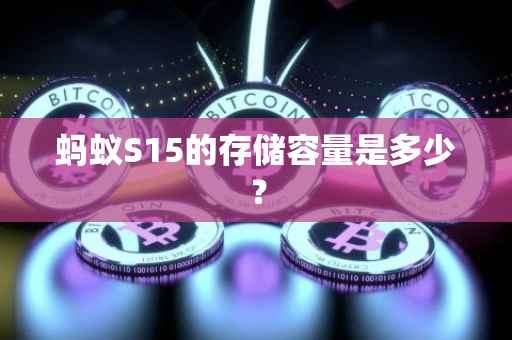 蚂蚁S15的存储容量是多少？