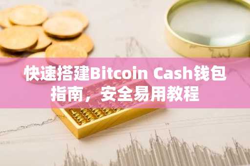 快速搭建Bitcoin Cash钱包指南，安全易用教程