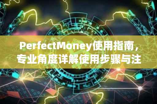 PerfectMoney使用指南，专业角度详解使用步骤与注意事项