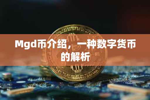 Mgd币介绍，一种数字货币的解析