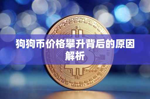 狗狗币价格攀升背后的原因解析