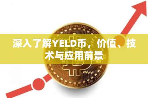 深入了解YELD币，价值、技术与应用前景