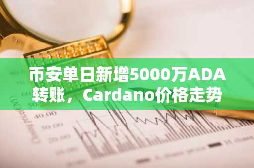 币安单日新增5000万ADA转账，Cardano价格走势揭晓