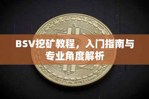 BSV挖矿教程，入门指南与专业角度解析