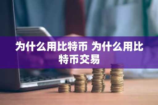 为什么用比特币 为什么用比特币交易
