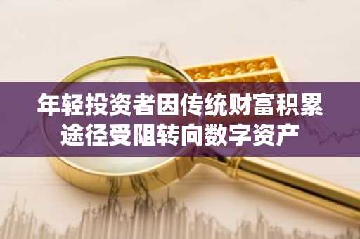 年轻投资者因传统财富积累途径受阻转向数字资产