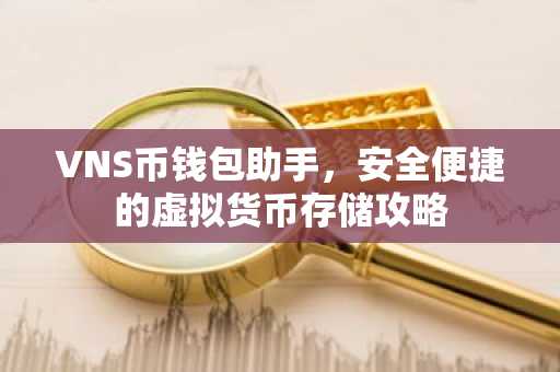 VNS币钱包助手，安全便捷的虚拟货币存储攻略