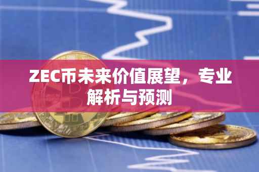 ZEC币未来价值展望，专业解析与预测