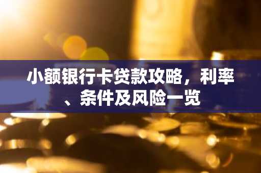 小额银行卡贷款攻略，利率、条件及风险一览
