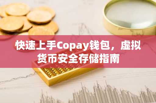 快速上手Copay钱包，虚拟货币安全存储指南