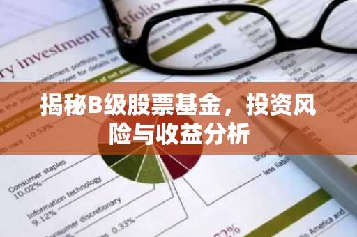 揭秘B级股票基金，投资风险与收益分析