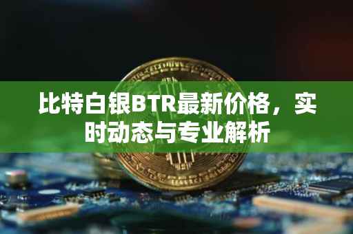 比特白银BTR最新价格，实时动态与专业解析