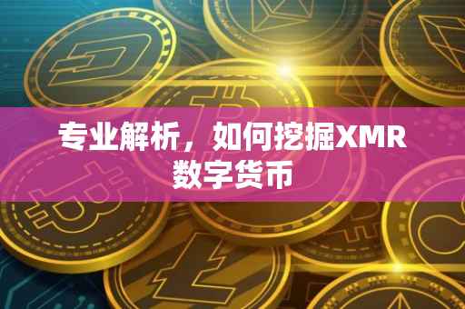 专业解析，如何挖掘XMR数字货币