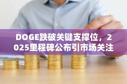 DOGE跌破关键支撑位，2025里程碑公布引市场关注