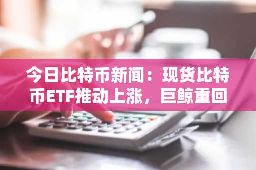 今日比特币新闻：现货比特币ETF推动上涨，巨鲸重回增持模式
