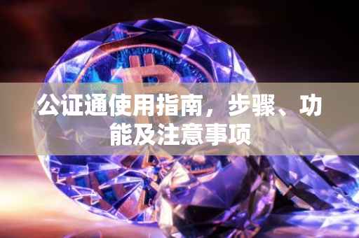 公证通使用指南，步骤、功能及注意事项