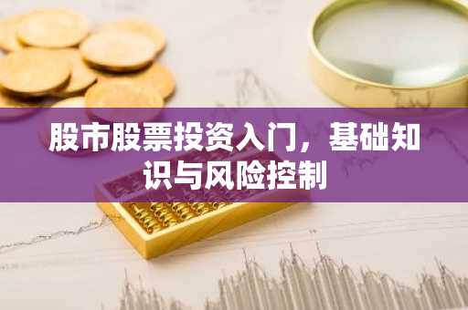 股市股票投资入门，基础知识与风险控制