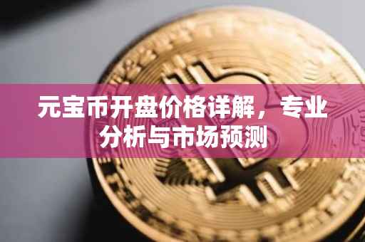 元宝币开盘价格详解，专业分析与市场预测