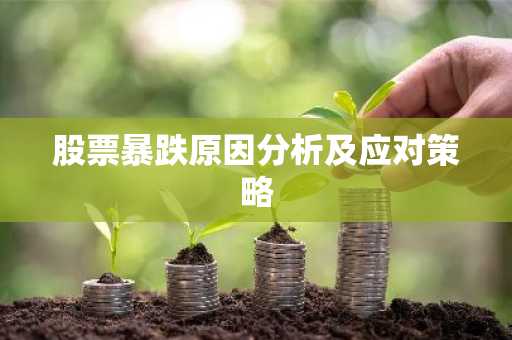 股票暴跌原因分析及应对策略